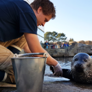 Discover the activity “Keeper for a day”
