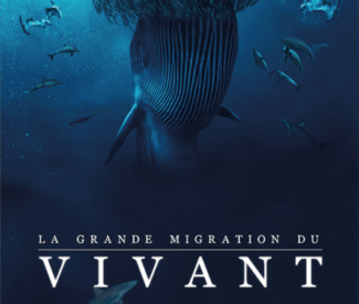 Projection-débat : La Grande Migration du Vivant